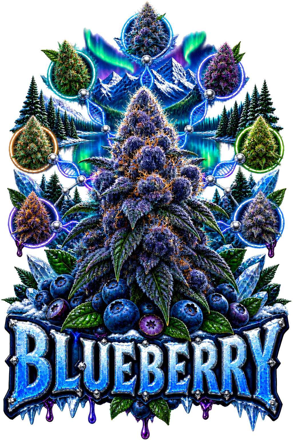 Blueberry graphic T-shirt design